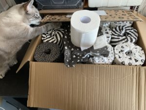 A tan cat reaches into a cardboard box filled with toilet paper rolls wrapped in black and white paper. A single unwrapped roll rests on top.